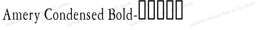 Amery Condensed Bold字体转换